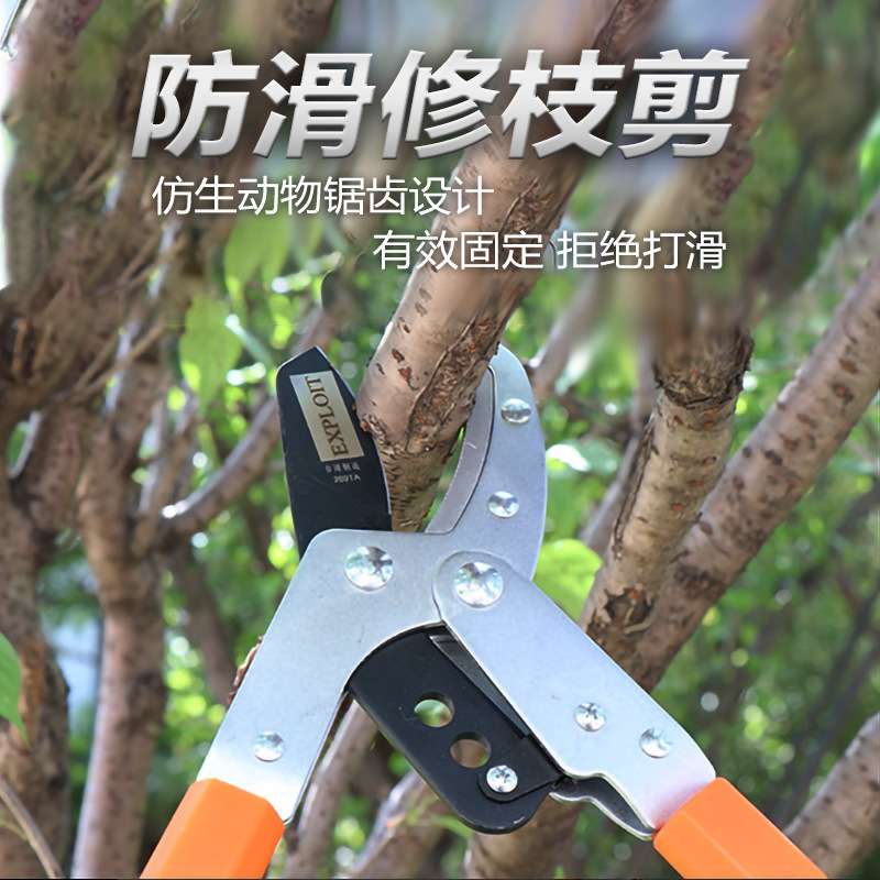 开拓 高枝园林果树修枝剪 加长防滑带齿不易生锈 省力便携树枝钳