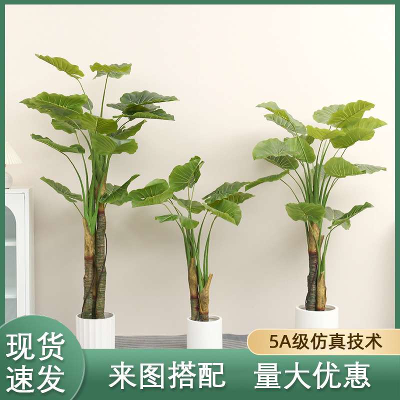 大型高仿真绿植仿真野芋叶假绿植室内外北欧落地盆栽居家造景装饰