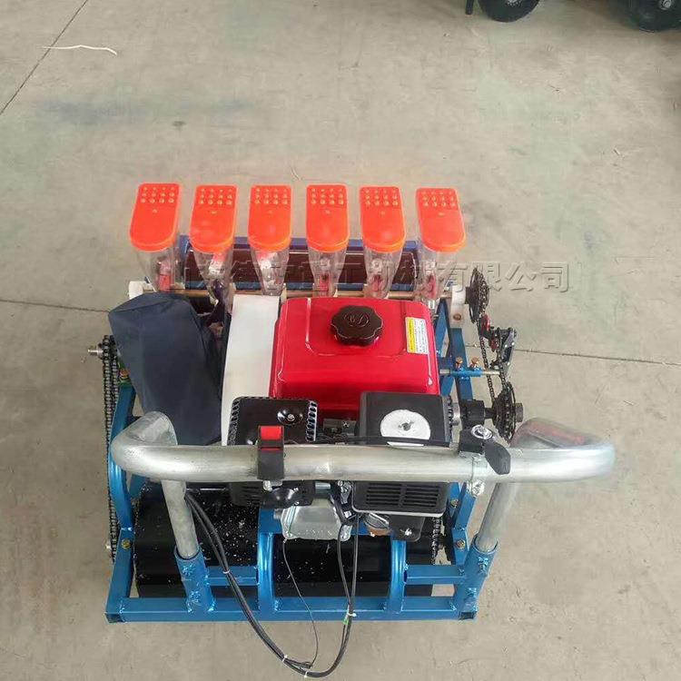 手推式蔬菜播种机 农用小颗粒种植点播机 电动四行大棚蔬菜种植机