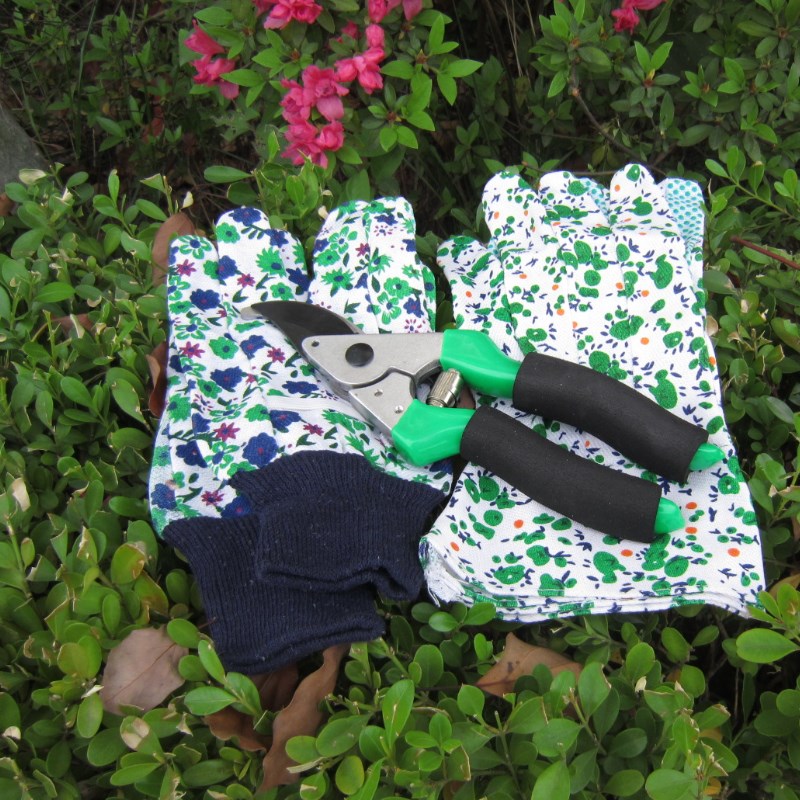 家庭园艺剪刀树枝剪o刀果枝剪园林剪刀花剪刀修枝剪刀花艺修枝剪