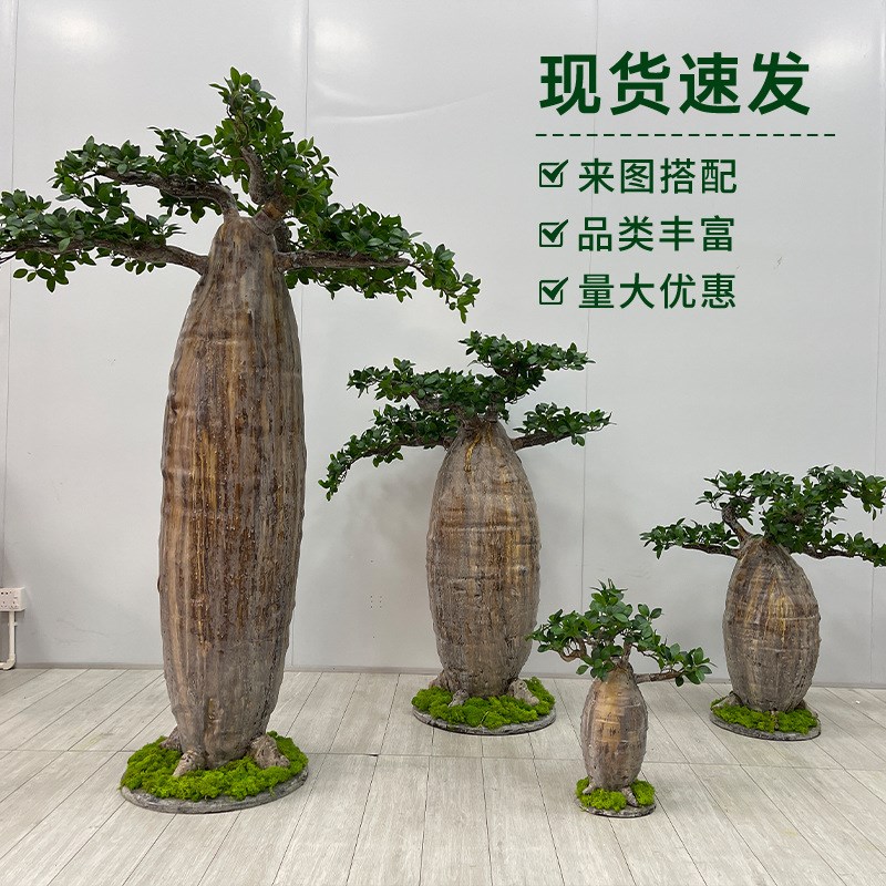 大型彷真植物非洲猴面包树彷真B绿植室外落地园林景观彷生大树