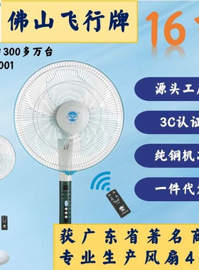 飞行牌16寸遥控落地扇五叶400mm办公室风扇静音坐地扇【白灰色】