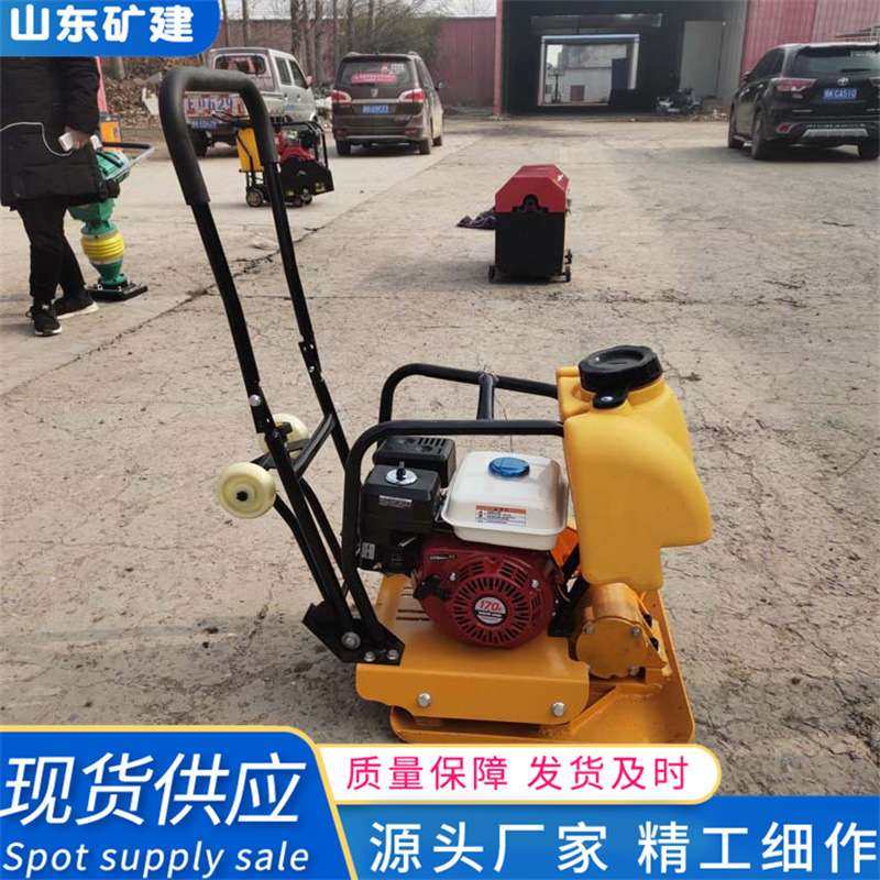 厂家供应马路打夯机 汽油柴油振动夯 沥青马路施工 平板夯,鲜花速递/花卉仿真/绿植园艺,割草机/草坪机,淘宝优惠券,粉丝福利购,淘宝优惠卷
