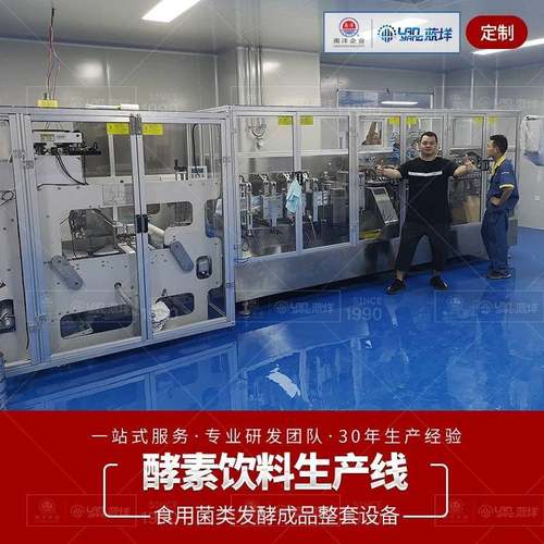 南洋酵素饮料生产线 全自动果蔬液体加工生产设备 自动定量灌装线