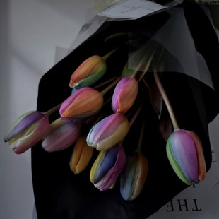 进口午夜蓝彩色稀有郁金香鲜花情人节圣诞节表白礼物花.束家用包