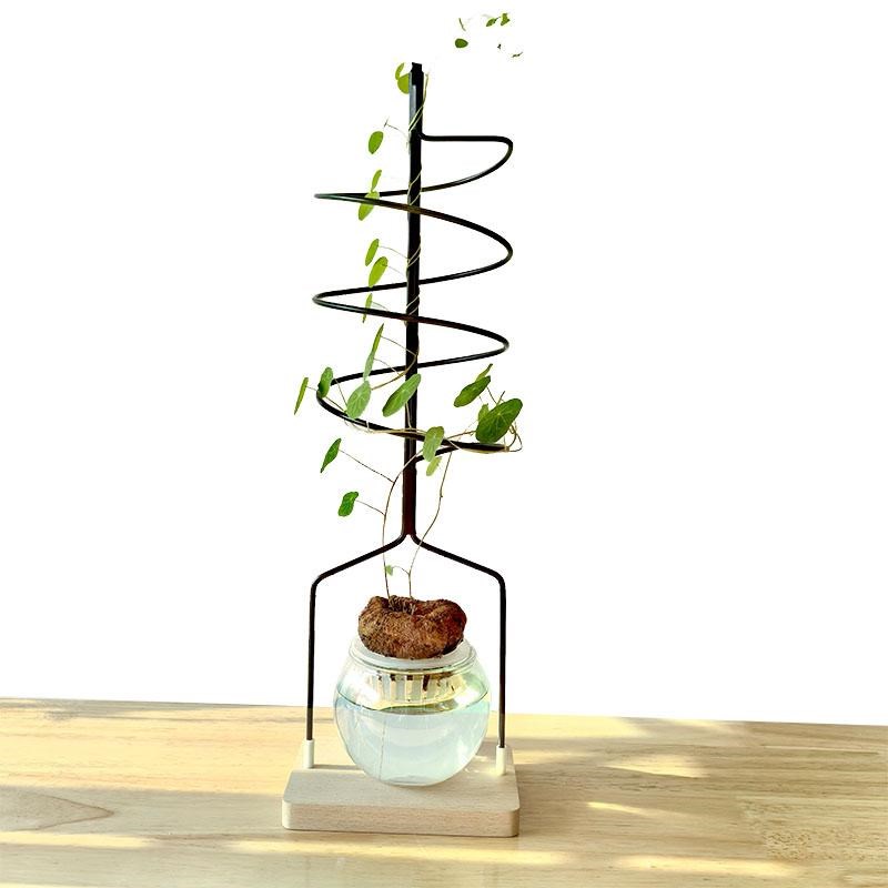 水培山乌龟螺旋式爬藤架龟甲龙桌面植物花架小花盆X种植攀爬支架