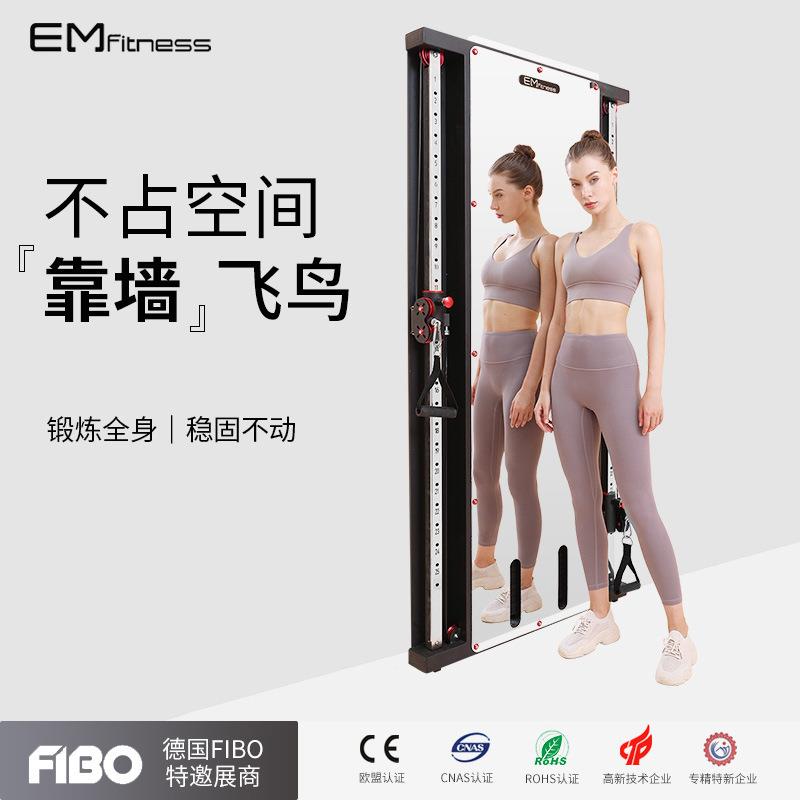 多功能靠墙飞鸟室内镜面墙体飞鸟健身架家用单边贴墙小飞鸟龙门架