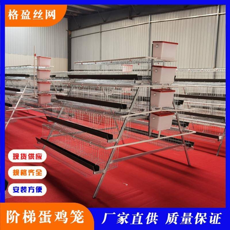 四层5门蛋鸡笼工厂直供阶梯型鸡笼热镀锌材质可供外贸