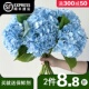 9.9 包邮 礼物绣球花鲜花云南基地直发P直批家庭用插花水养