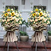 深圳鲜花韩式 乔迁全国苏州花篮速递重庆向日葵上海开业北京广州网