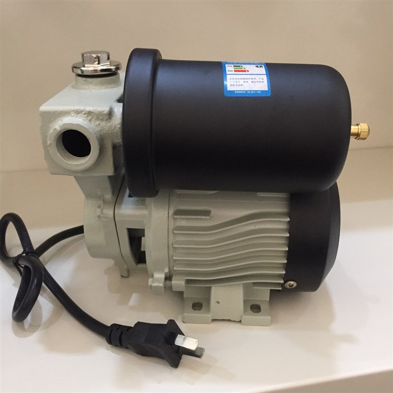 人民水泵P1- 120sW 掌中宝自动增压泵 管道增压泵加压泵