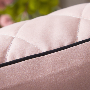 枕芯单人一只装 家用护颈枕头48x74儿童小号学生N宿舍整头一对40x6