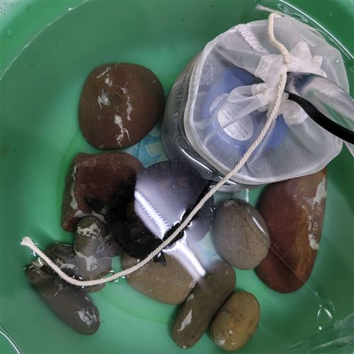 304不锈钢网圆柱形鱼缸潜x水泵过滤袋防止吸小鱼出水口管道过滤