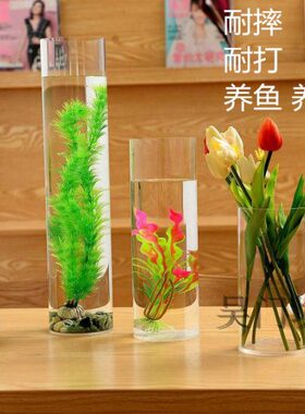 瓶胖有机玻璃管透明花瓶  矮鱼缸 桌面 塑料花亚克力塑料管矮花器