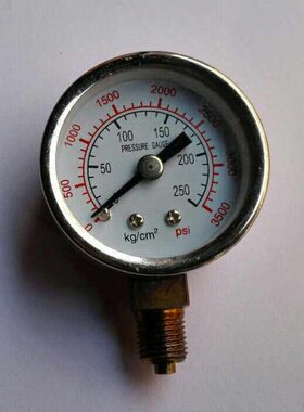 全不锈钢 径向 小型防腐压力表 y-40bf 0～250kg 0～3500psi