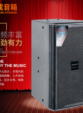 单12寸娱乐KTV派对音响大型演唱会酒吧卡拉OK音箱沐足K歌娱乐音响
