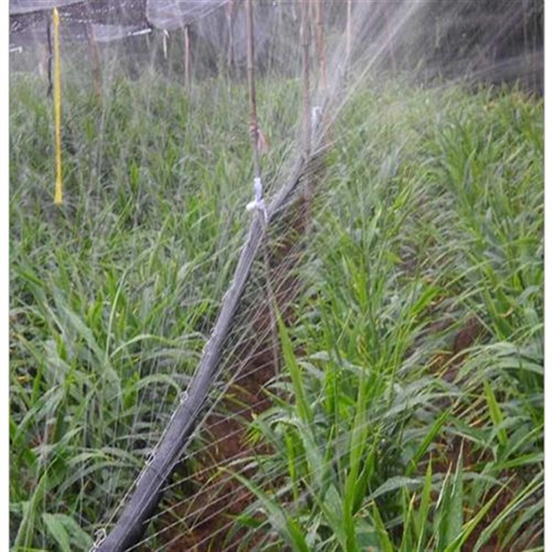 农用灌溉微喷带喷水带滴灌带雾化灌溉滴水喷M灌设备自动浇水器水