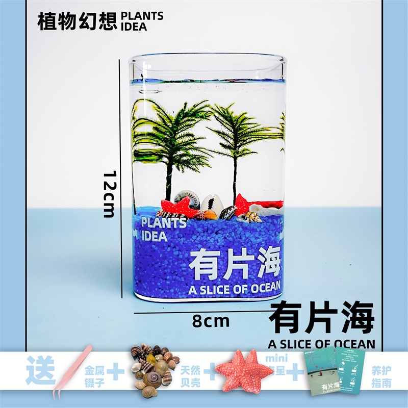 植物幻想-有片海 生态瓶微景观小鱼缸桌面K绿植可养鱼创意礼物苔