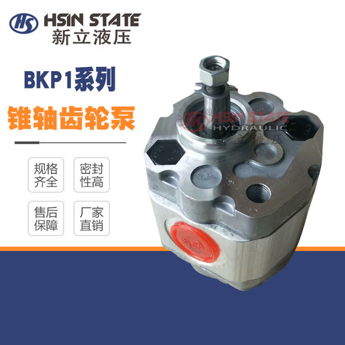齿轮泵BKP1Q1D1.1/D0.8/D1.1/D1.6/D2.1/D2.7/D3.2/D4.8/S7T0Z0-V