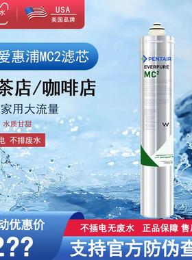 爱惠浦MC2滤芯商用净水器滤芯净水机通用耗材主滤芯EV9612-56滤芯
