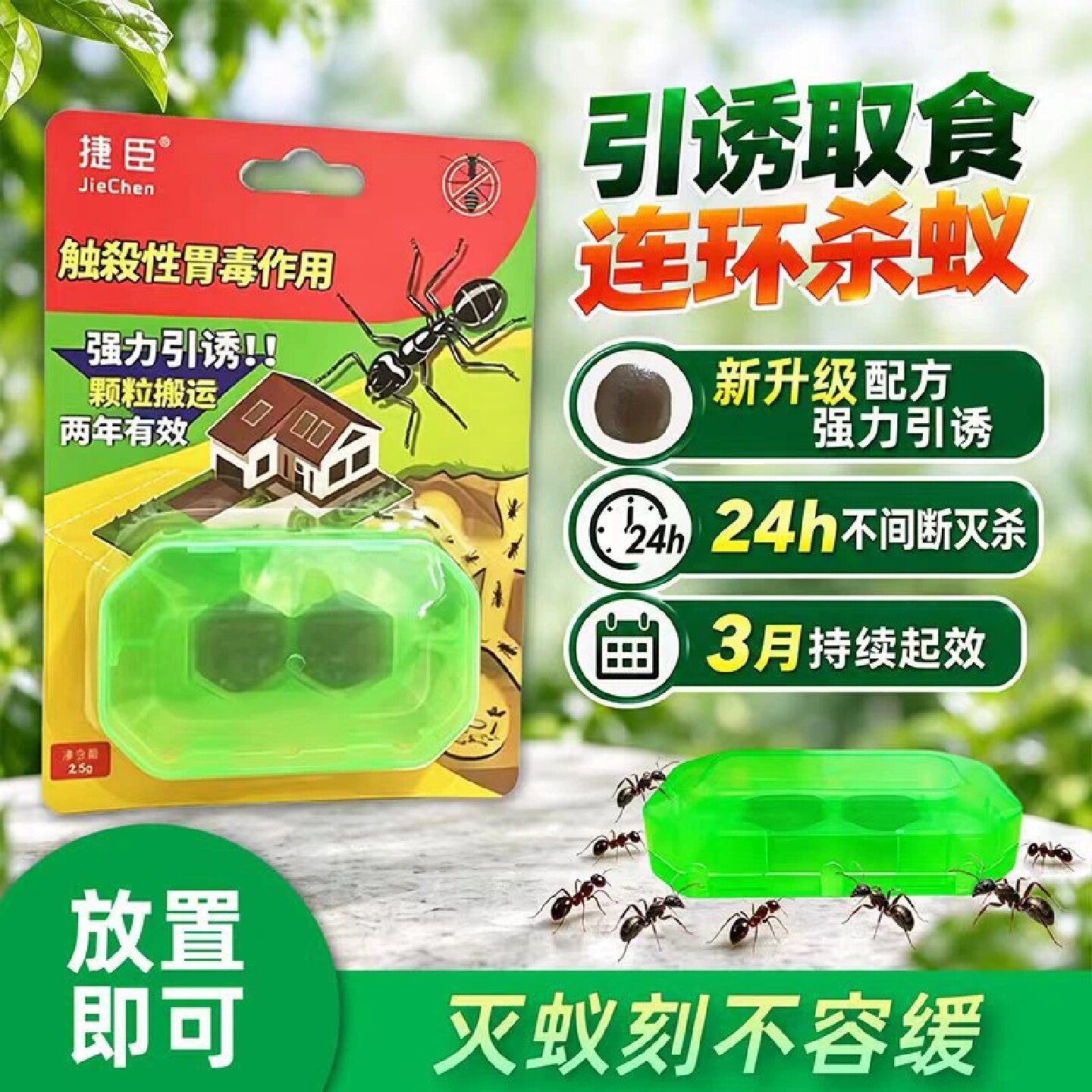 捷臣杀蚁饵剂家用蚂蚁药厨房花盆红黄黑蚂蚁强效杀蚁灭蚁蚂蚁药剂