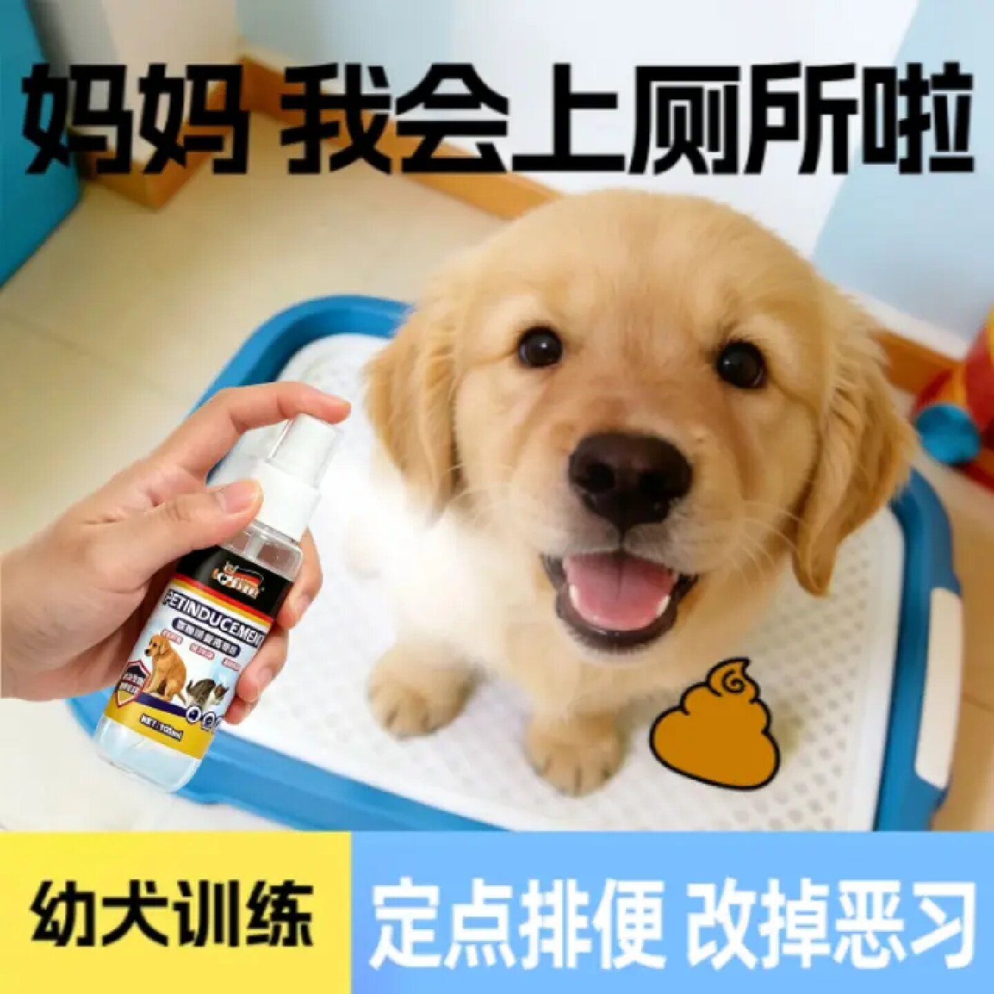 猫头鹰博士宠物排便诱导剂狗狗定点上厕所神器定点大小便排便训练