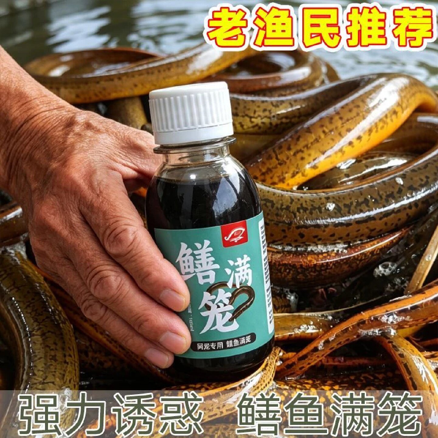 国良鳝满笼钓鱼小药诱食剂鳝诱灵清鳝野外户外腥臭浓缩开口聚鱼饵