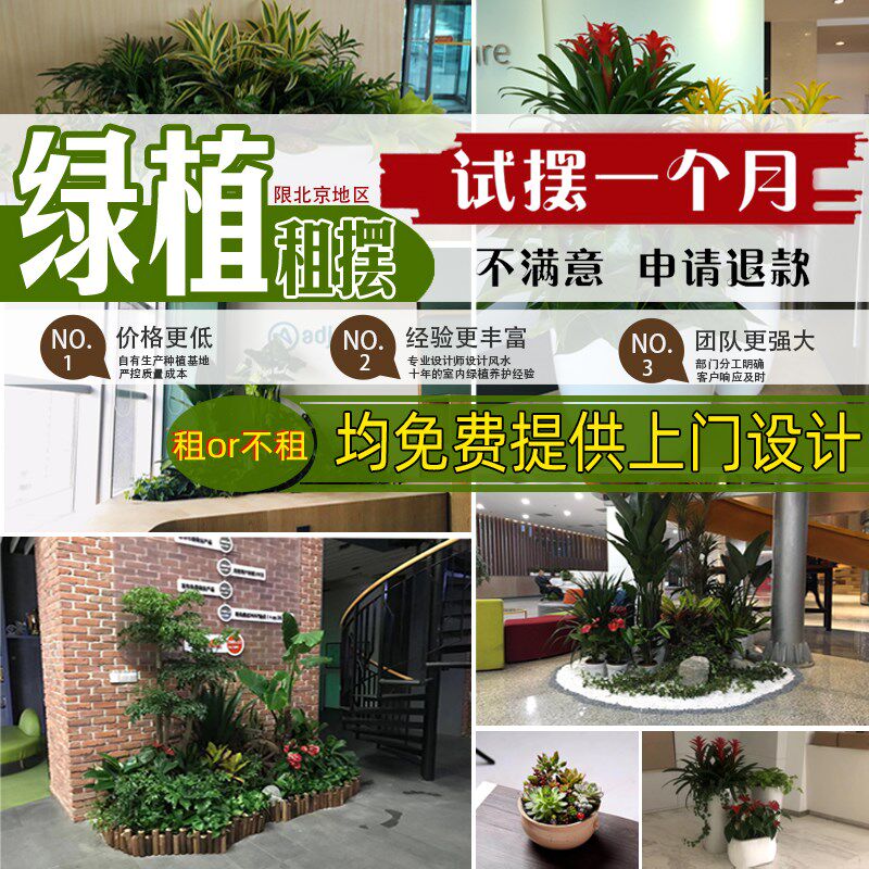 北京同城绿植租赁上门养护办公室洒水/浇水壶