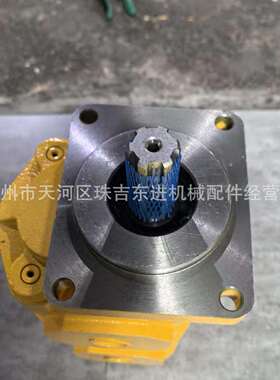 CBNL F550/F550-CTHL齿轮泵 两联