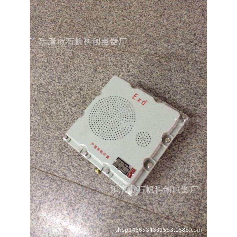 BHY-30W/100V防爆壁挂式音箱 有源防爆扬声器 壁挂式 监控