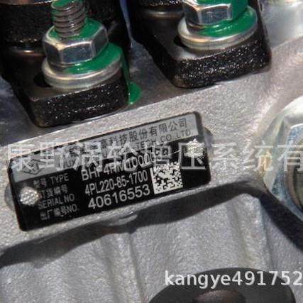 无锡喷油泵4PL220 BHF4PM100008和4PL1352A和4PL2109C 4PL2109D