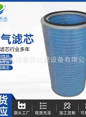 除尘滤芯P190818防火阻燃空气滤芯耐高温空气除尘滤筒粉尘滤芯