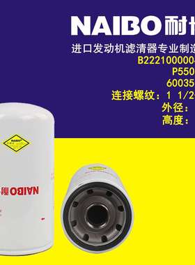 B222100000494机滤 JX-6269 P550596