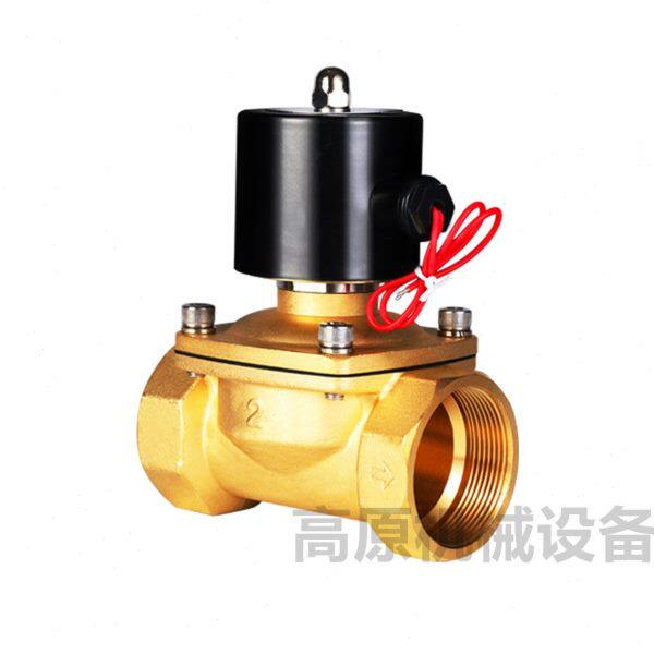 二位二通电磁阀 2W500-50 DN50 电磁阀 2寸全铜水阀