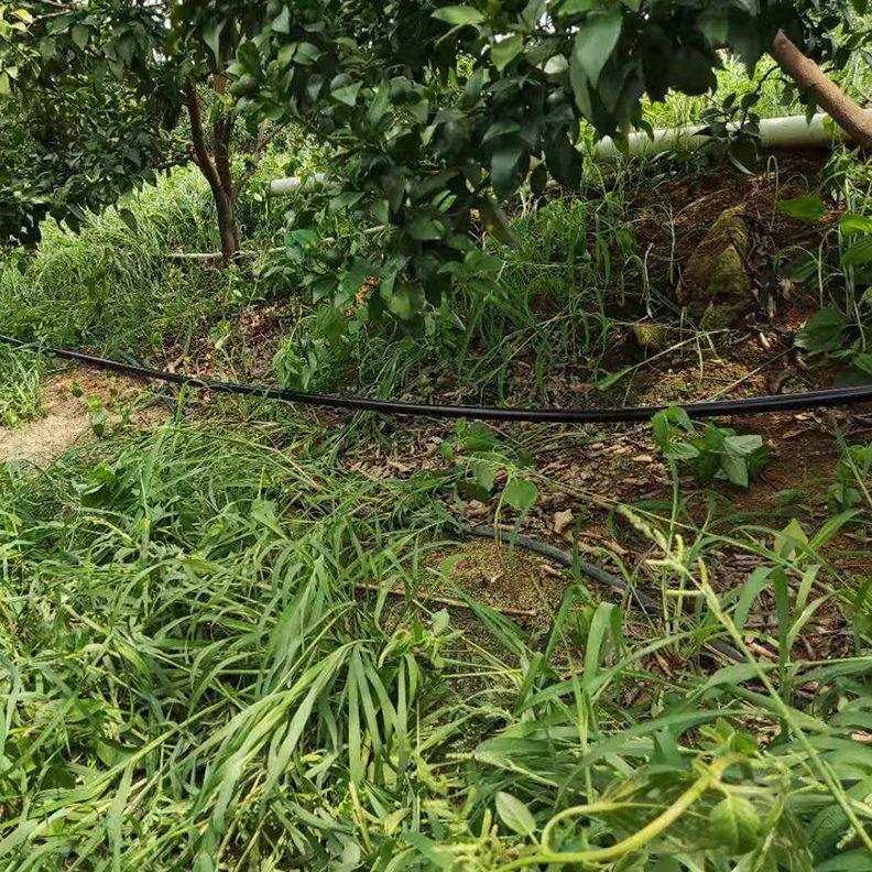 水6分棚节孔菜管4分大无溉滴灌管喷灌园农田滴灌管微毛PE果园3分