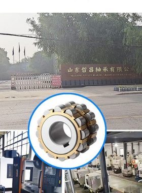 RN307整体双偏心轴承套摇摆减速机专用309 312双列205进口品质206