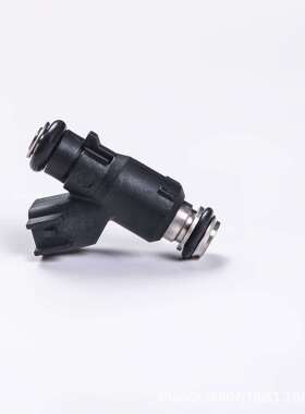 28239887 汽汽车电喷喷嘴 外贸南美出口 fuel injector