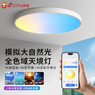 智能全色域晴空灯LED天镜吸顶灯全光谱客厅灯卧室护眼多彩吸顶灯
