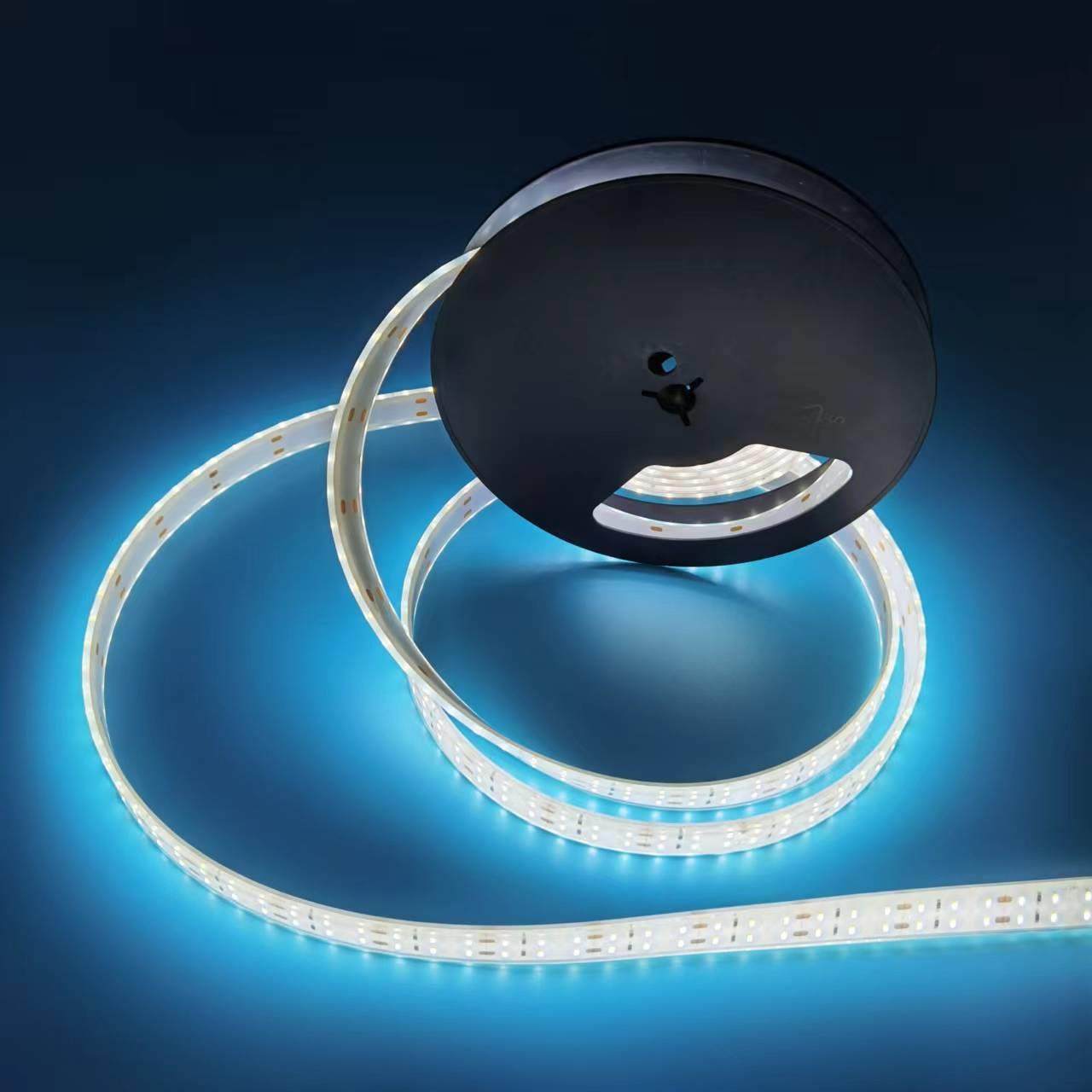 IP68挤胶防水LED3014软灯带 低压24V180珠双排高亮汽车LED灯条