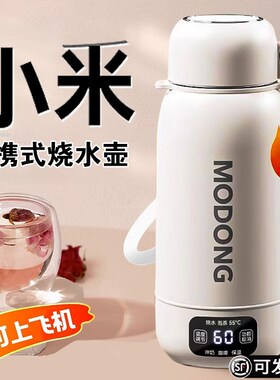便携式烧水杯外出旅行车载恒温壶自动加热保温杯电X热烧水壶新款