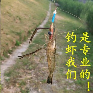 虾钩钓虾专用钩钓虾钩钓虾线组虾钩双钩钓龙虾钩钓虾神器草虾钩子