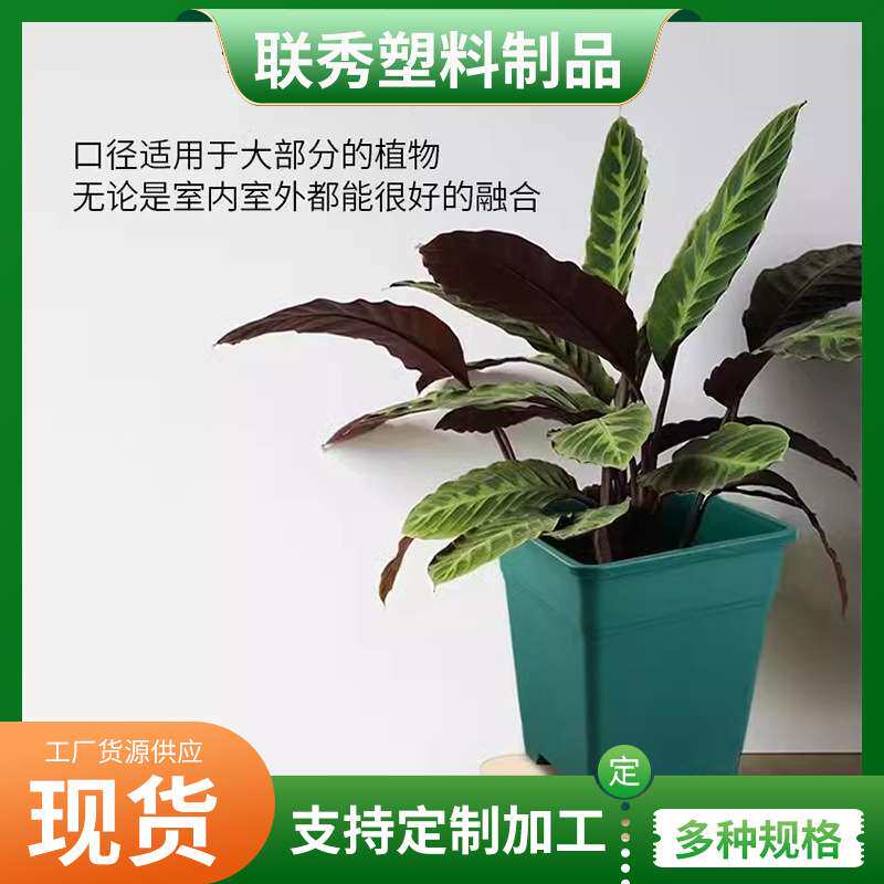 加仑盆树脂花盆塑料控根月季玫瑰绿植盆栽加厚圆形大号塑料花盆