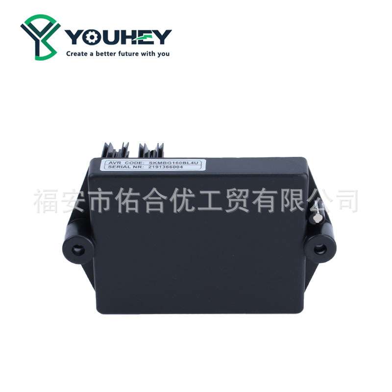BL4U AVR 调压板柴油发电机自动电压调节器配件 RD1 FW D1 06-21