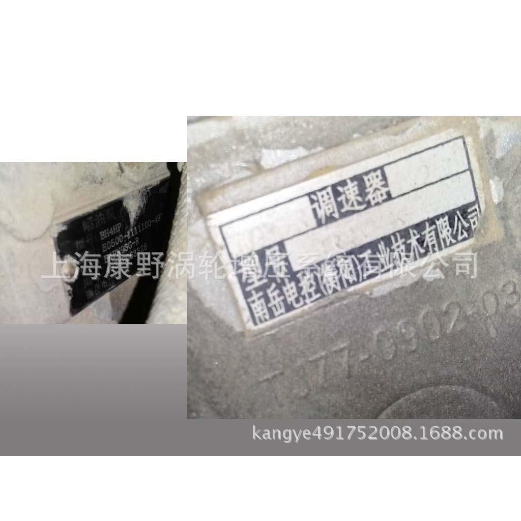 适用玉柴衡阳喷油泵BH4HP E0500-1111100-493 B4PN93G-R B4PN93G3