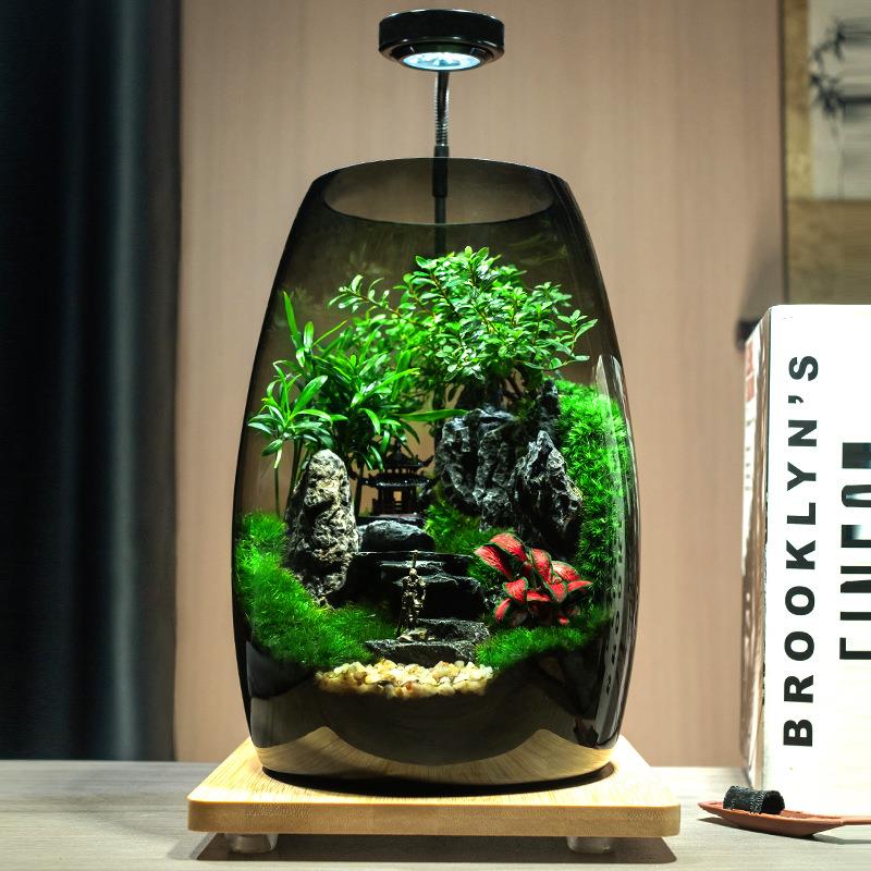 杜鹃亭苔藓微景观生态瓶造景植物雨林创意摆件桌面森林玻璃生态缸