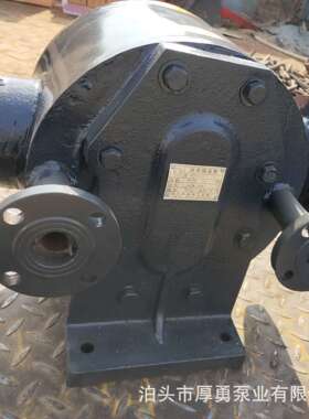 无泄漏沥青保温泵 树脂泵 胶水输送泵 厚勇泵业 产地直发