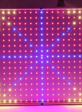 厂家直销 290珠LED植物灯 全光谱 全波段 大棚育苗花卉植物补光灯