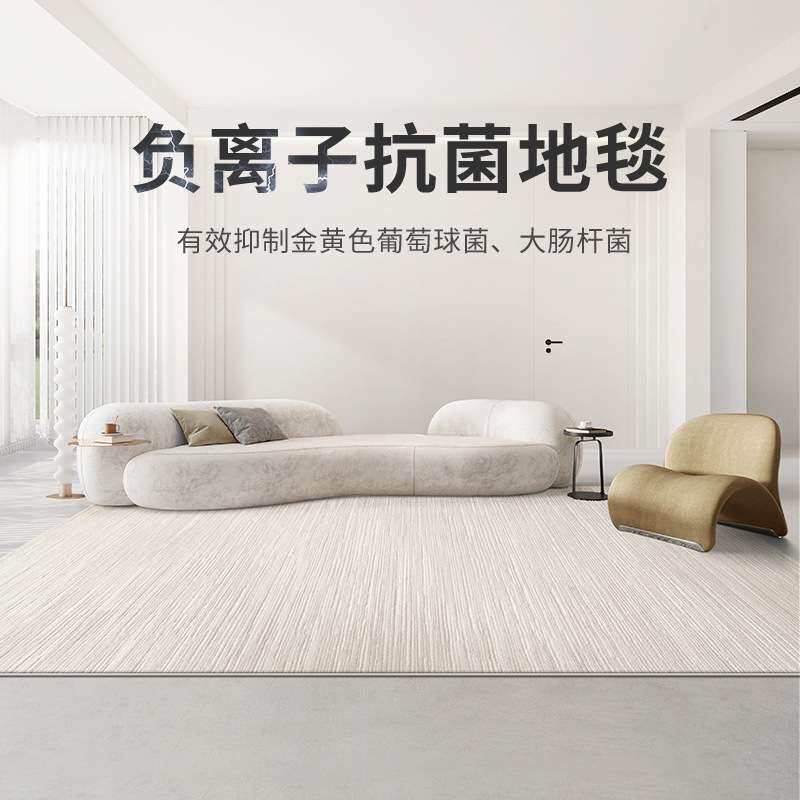 意式极简抗菌地毯客厅轻奢高级2024新款防水防污素色简约卧室地垫