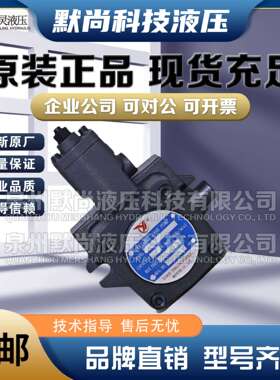 YLC仙居永灵液压泵 VP 系列变量泵叶片泵 VP1-15-35/55/70 油泵