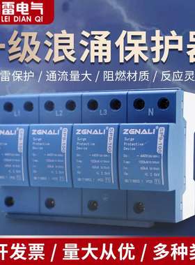 PS9一级防雷浪涌保护器385V 440V 100KA 家用光伏工业级电涌避雷